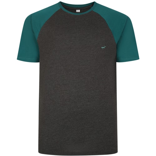 Bigdude Contrast Raglan Sleeve T-Shirt Charcoal/Green Tall